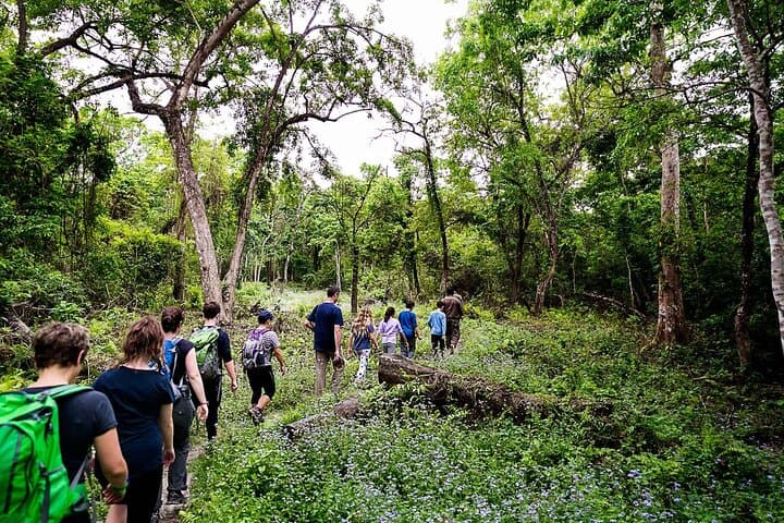 Chitwan Tower Night Stay: Overnight Jungle Tower, Jeep Safari & Rapti Canoe Ride photo 2