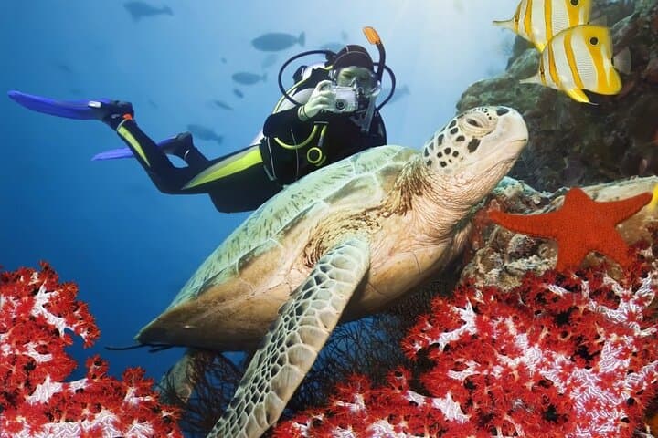 Fethiye Two-Dive Scuba Adventure with Professional Instructor photo 3