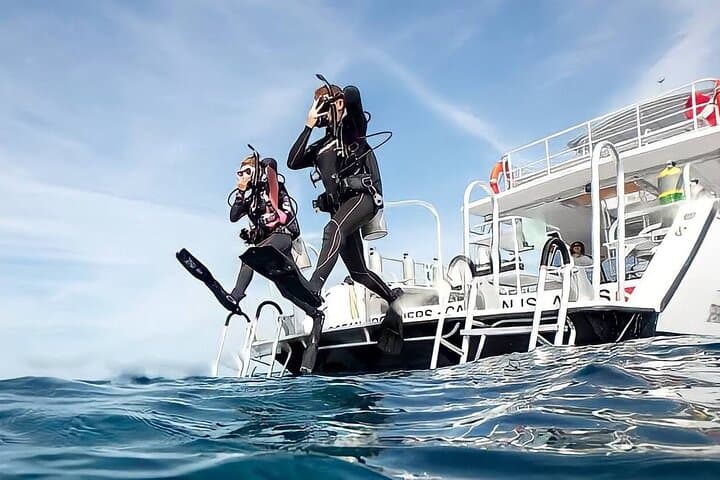 Fethiye Two-Dive Scuba Adventure with Professional Instructor photo 4