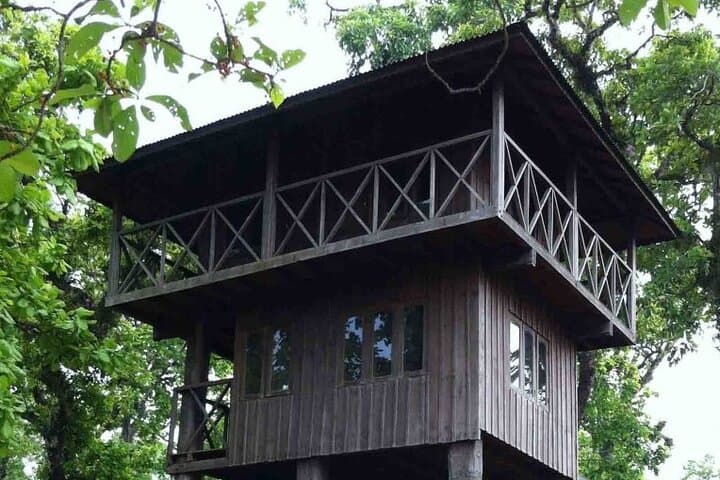 Chitwan Tower Night Stay: Overnight Jungle Tower, Jeep Safari & Rapti Canoe Ride photo 1
