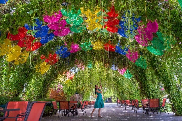 Explore Dubai Miracle Garden: Tickets, Transfers & Visitor Guide photo 2