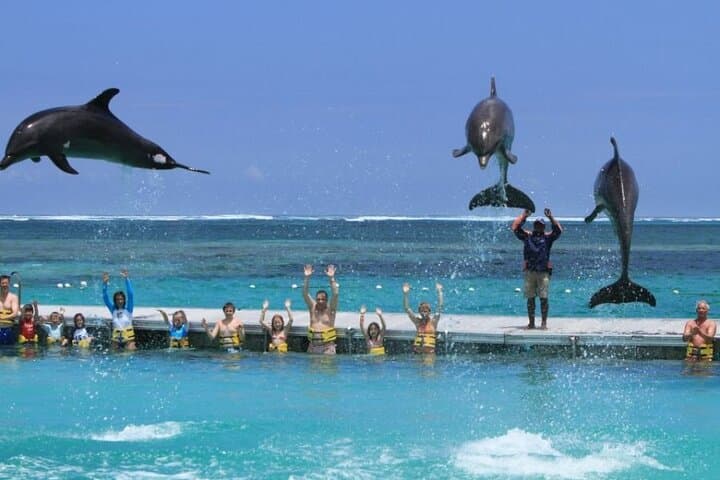 Punta Cana Speed Boat Adventure & Snorkeling Tour photo 3