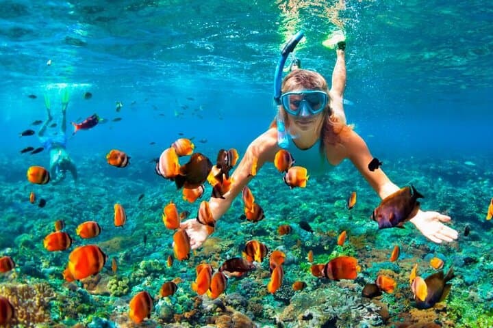 Punta Cana Speed Boat Adventure & Snorkeling Tour photo 4