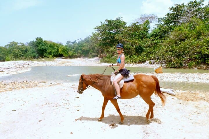 Ocho Rios Horseback Ride, Fern Gully & Coyaba Gardens Half-Day Tour