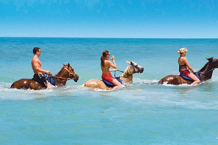 Ocho Rios Horseback Ride, Fern Gully & Coyaba Gardens Half-Day Tour photo 3