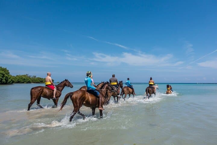 Ocho Rios Horseback Ride, Fern Gully & Coyaba Gardens Half-Day Tour photo 4