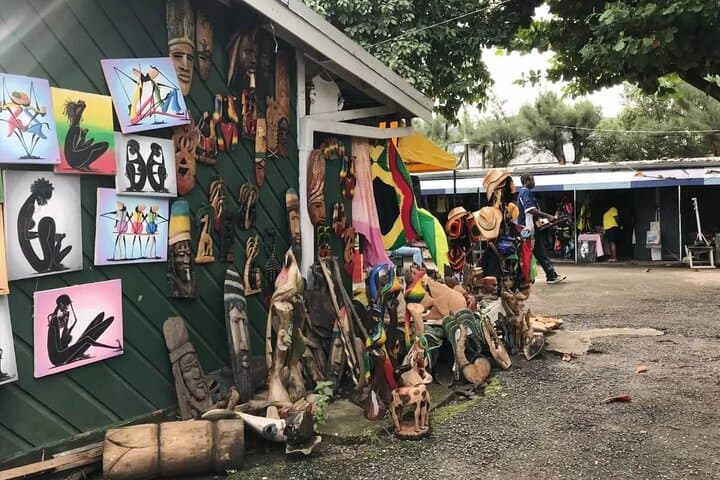 Ocho Rios Horseback Ride, Fern Gully & Coyaba Gardens Half-Day Tour photo 5