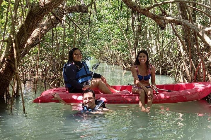 Full-Day Mangrove Boat Ride and Sisal Beach from Mérida photo 2
