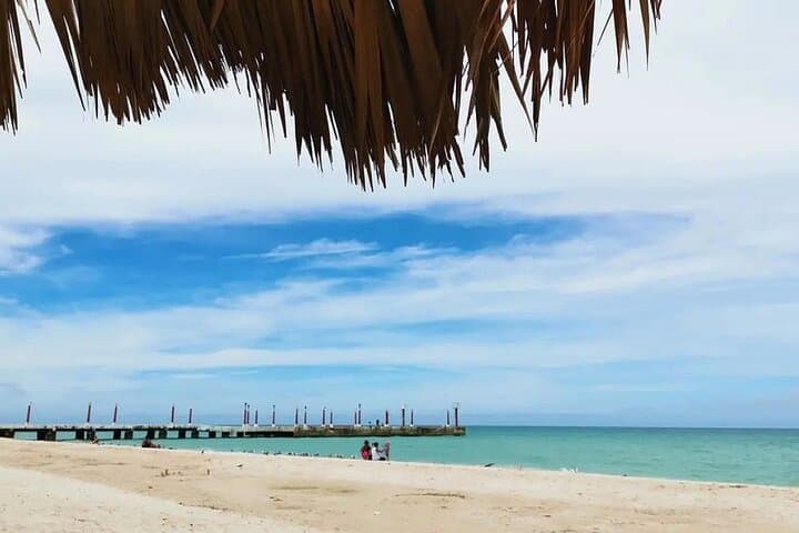 Full-Day Mangrove Boat Ride and Sisal Beach from Mérida photo 6
