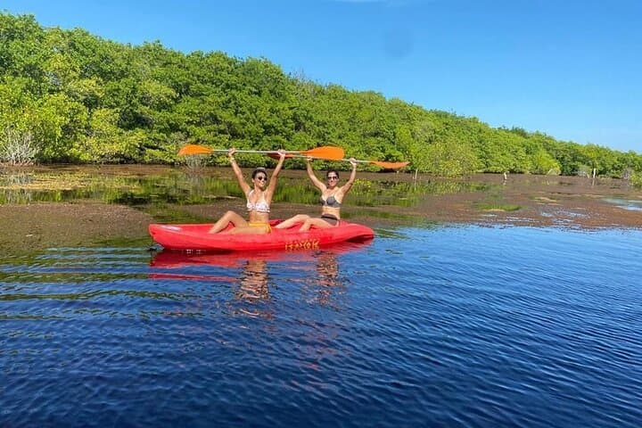 Full-Day Mangrove Boat Ride and Sisal Beach from Mérida
