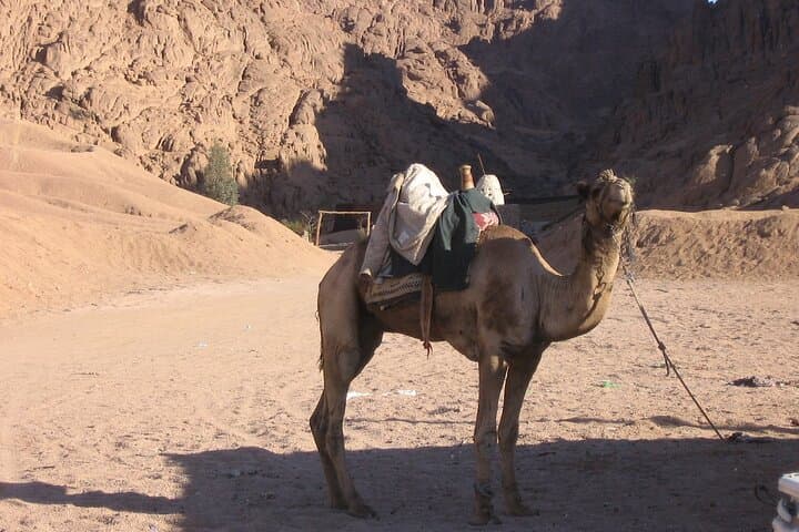 Sunrise on Mount Sinai: Night Coach, Camel Path and St. Catherine Monastery photo 5