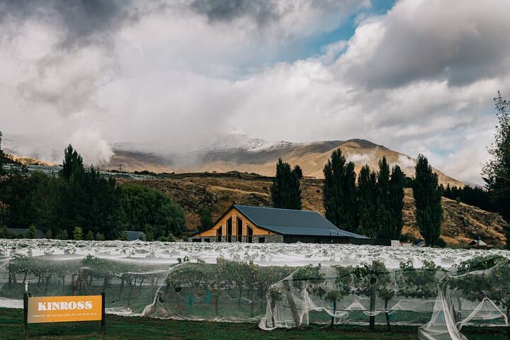 Wild Irishman Wine Tasting at Kinross Winery — Gibbston Valley Pinot & Regional Flavors photo 2