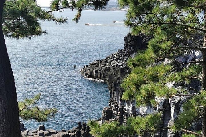 Jeju Island Private English Tour: Flexible Full-Day Highlights with Local Guide photo 4