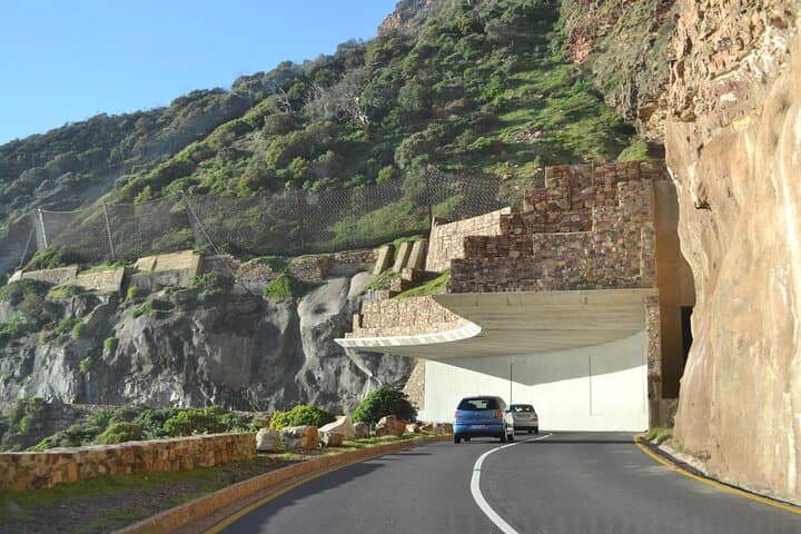 Cape Peninsula Private Tour: Boulders Beach Penguins, Chapman's Peak & Cape Point photo 4