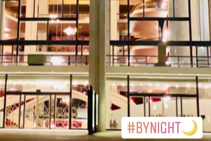 New York After Dark: Private Night Tour Up to 5 Guests