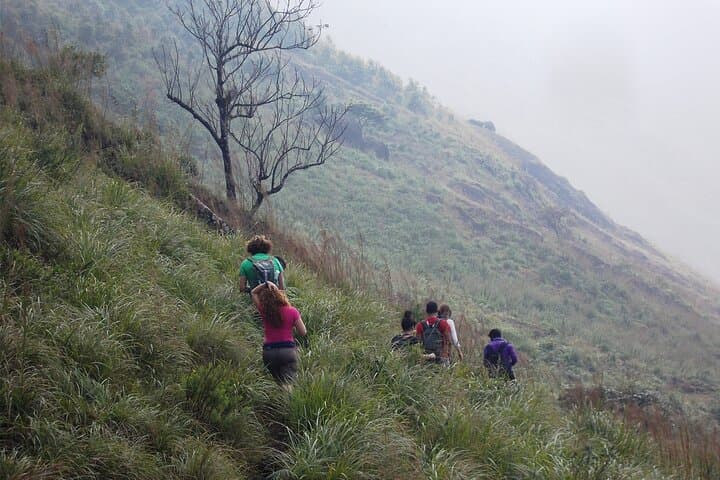 Munnar Half-Day Trek: Tea, Cardamom Trails & Sunrise Breakfast photo 6
