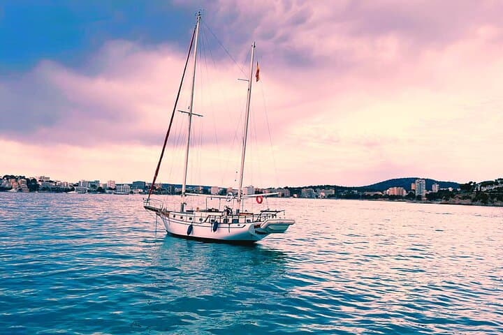 Night Sailing & Starry Skies: Astronomical Tour aboard Perseus XXI in Palma Bay photo 3
