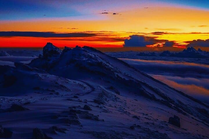 7-Day Lemosho Route Kilimanjaro: Private Guided Summit via Shira Plateau photo 3