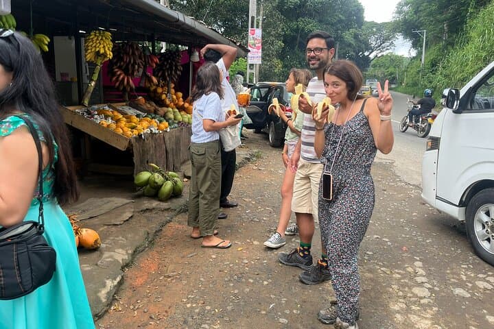 5-Day Sri Lanka Highlights: Colombo, Sigiriya, Kandy, Nuwara Eliya, Ella & Udawalawe photo 3