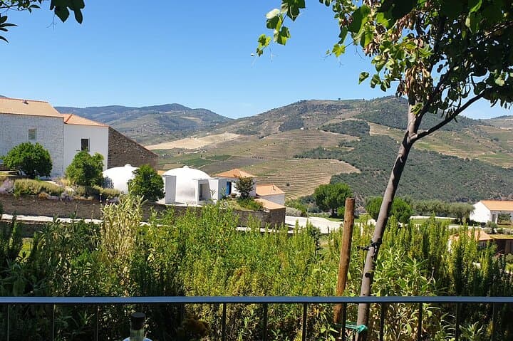 Private Full-Day Douro Valley Tour: Wine, Olive Oil & Rabelo Boat Experience