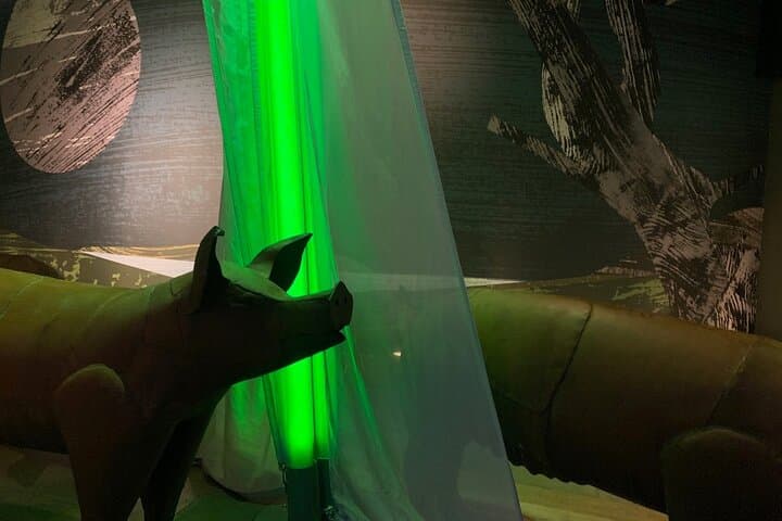 Inside the Saint Patrick Centre: Downpatrick’s New Exhibition and IMAX Experience photo 5