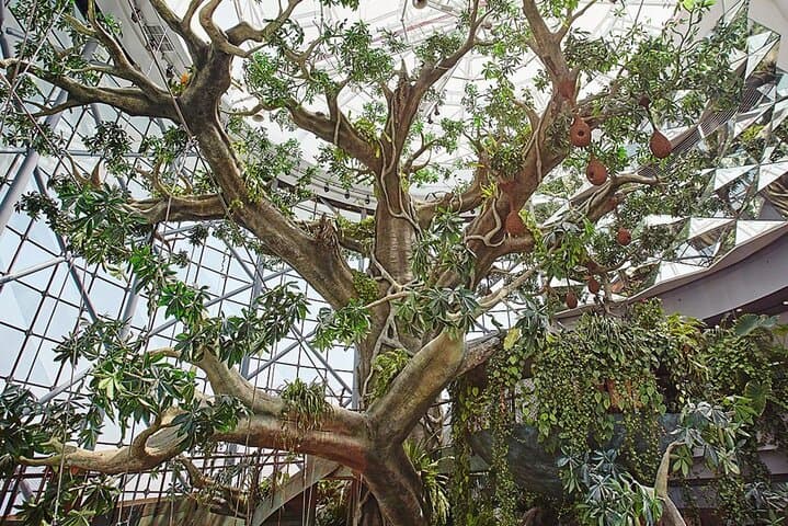 Inside The Green Planet Dubai: Dubai’s Four-Level Indoor Rainforest Experience photo 5