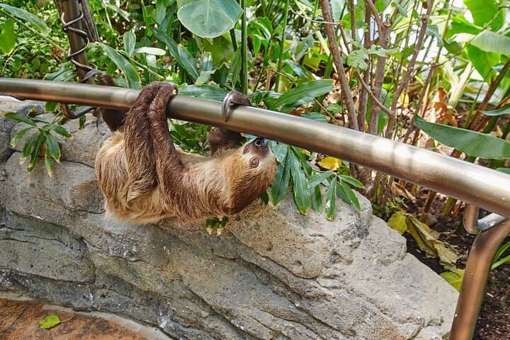 Inside The Green Planet Dubai: Dubai’s Four-Level Indoor Rainforest Experience photo 6