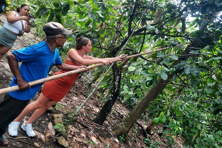 Puerto Plata Cocoa & Artisan Chocolate Tour: Hacienda Cufa Chocolate-Makers Experience
