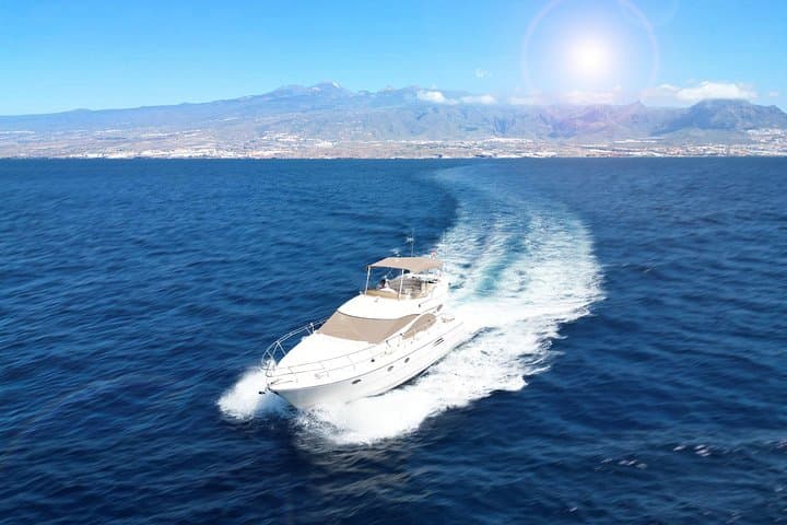 Private Yacht Experience in Puerto Colón: Sail Tenerife’s Southwest Coast