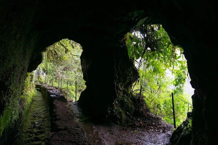 Caldeirão Verde Self-Guided Hike from Queimadas — Transfer, Tunnels and Laurissilva Trails photo 4