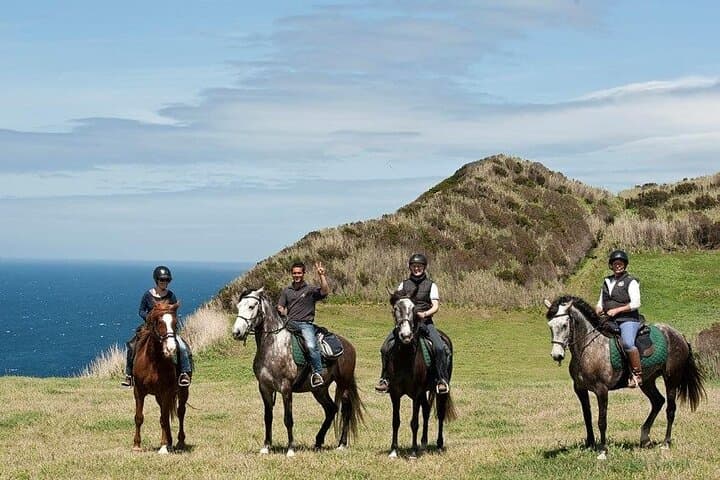 Lusitano Trail: Beginner Horseback Ride on Faial's North Cliffs
