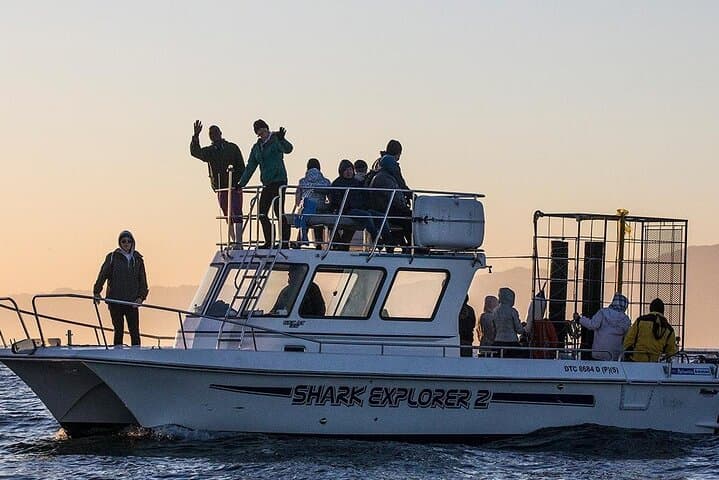 Shark Explorers: Simon's Town Shark Cage Diving in False Bay photo 2