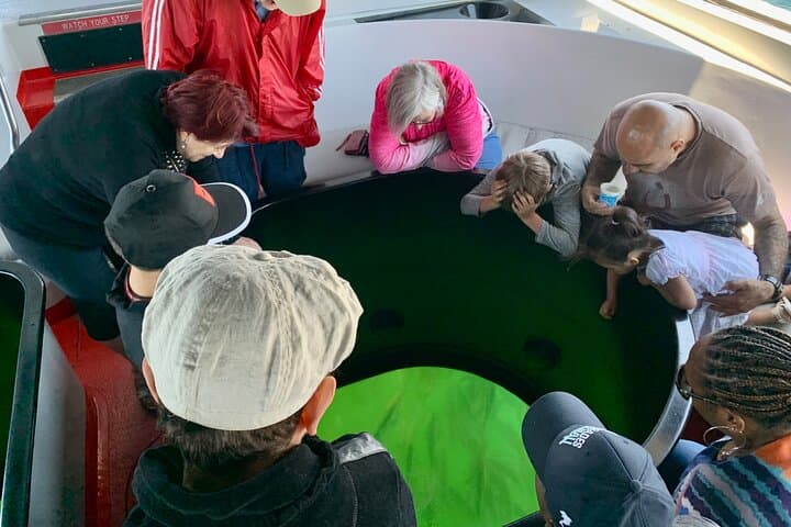 Long Beach Glass Bottom Boat Eco-Tour: Harbor Wildlife & Port Views photo 5