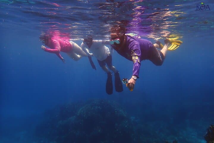 Roatan Drift Snorkel and Monkey & Sloth Sanctuary Tour — Snorkel with Turtles and Meet Rescue Wildlife photo 2