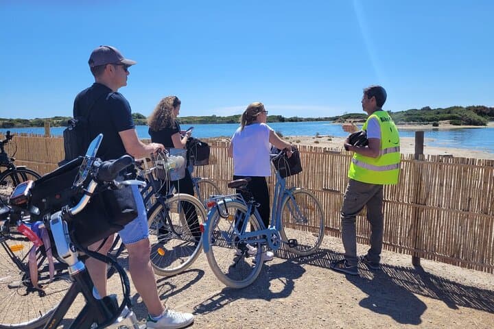 Valencia Low-Cost Half-Day Bike Tour: Local Routes & Historic Sights photo 5