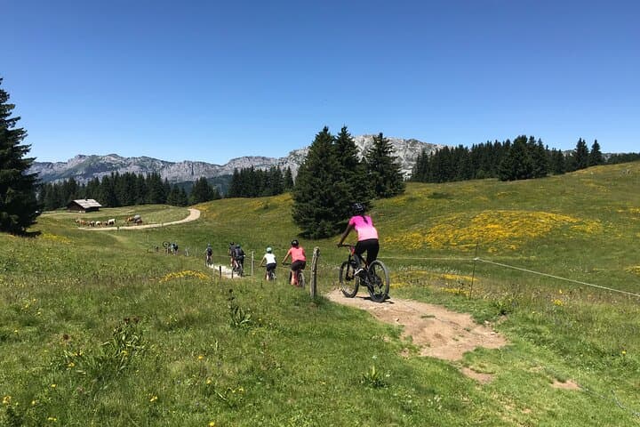 Mandallaz E-Bike Adventure: Guided Mountain Ride with Mont Blanc Views photo 5