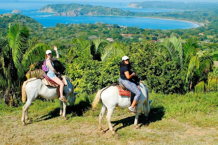 Coastal Horseback Ride at Playa Buena Vista, Samara Beach