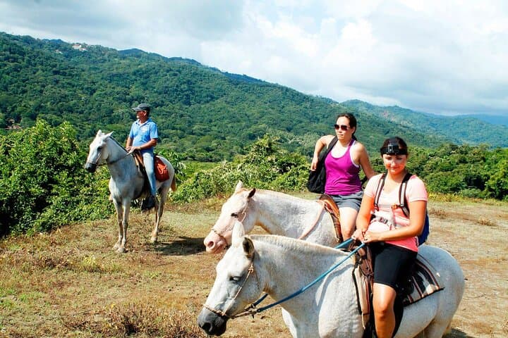 Coastal Horseback Ride at Playa Buena Vista, Samara Beach photo 3
