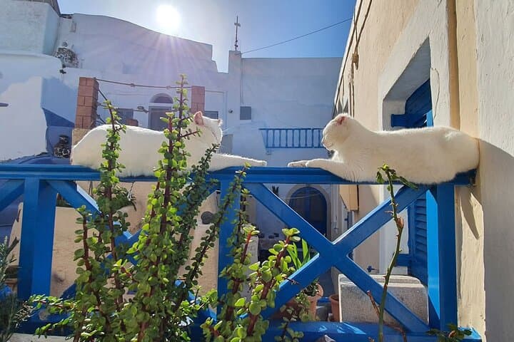 Santorini Panorama: 5-Hour SUV Adventure to Oia, Imerovigli & Wineries photo 5