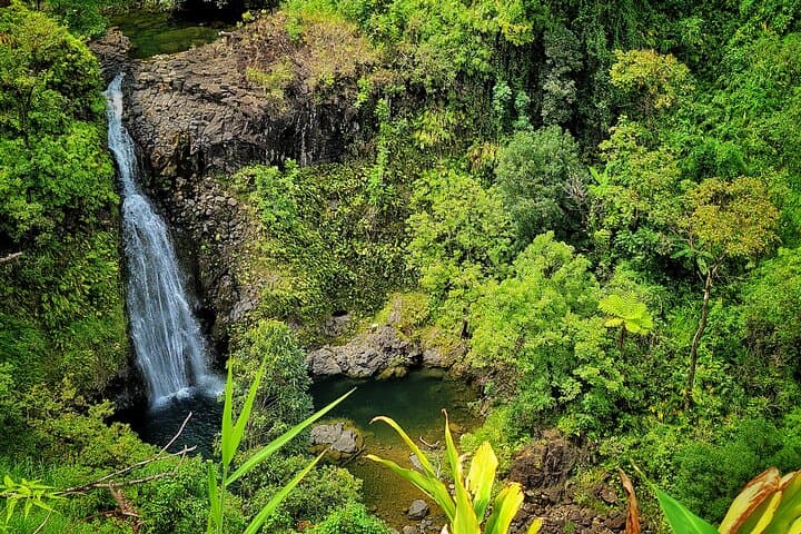 Road to Hana Private Full-Day Tour: Hana Waterfalls, Black Sand Beach & Bamboo Forest