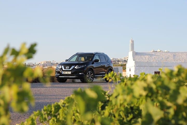 Santorini Eat & Drink Private Tour: Brewery, Winery & Farm Tastes in 4 Hours photo 6