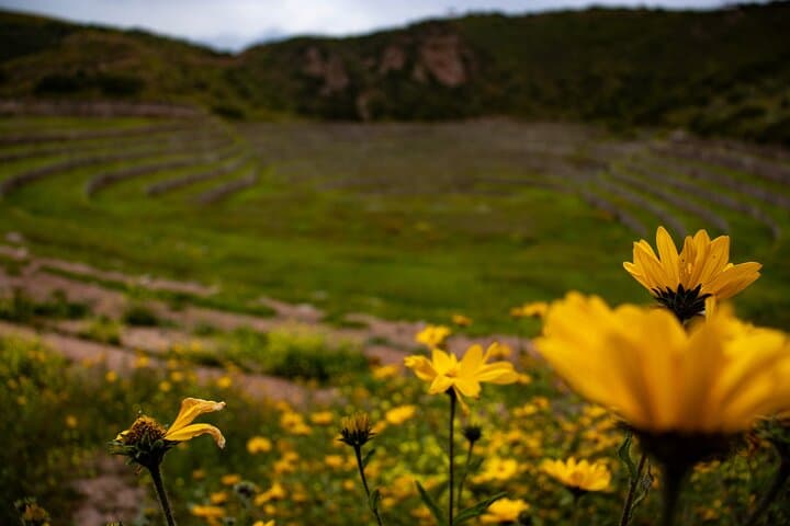 Half-Day Maras, Moray & Salt Mines Tour from Cusco: Inca Terraces, Salt Ponds & Photography Tips photo 4