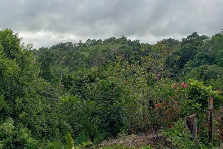 Half-Day Ocho Rios Sightseeing and Puerto Seco Beach Escape photo 2