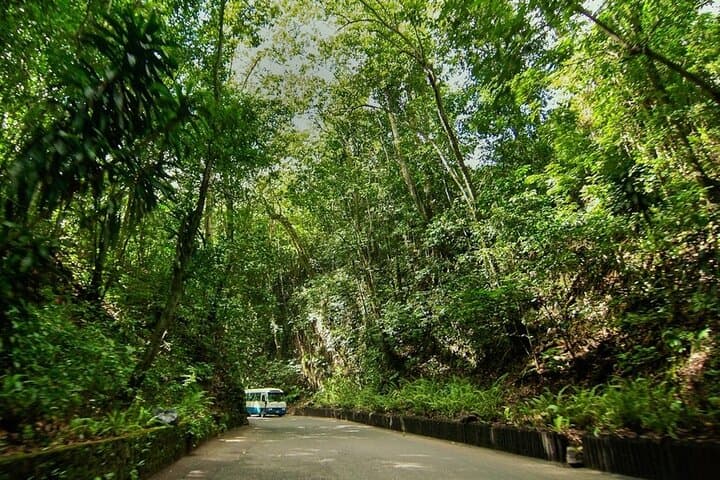 Half-Day Ocho Rios Sightseeing and Puerto Seco Beach Escape photo 3