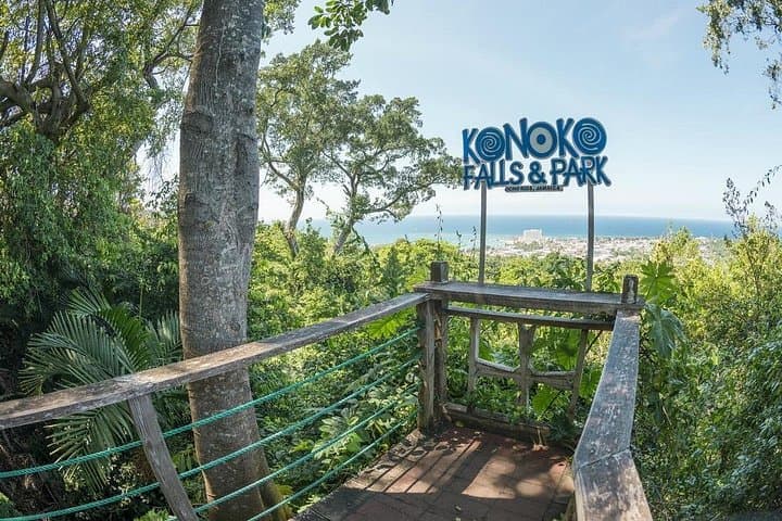 Konoko Falls & Ocho Rios Day Tour — Fern Gully, River Gardens and Beach photo 1