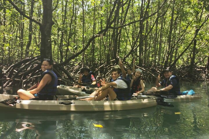 Kilim Geopark Mangrove Kayaking: Paddle the Karst Coast of Langkawi photo 1