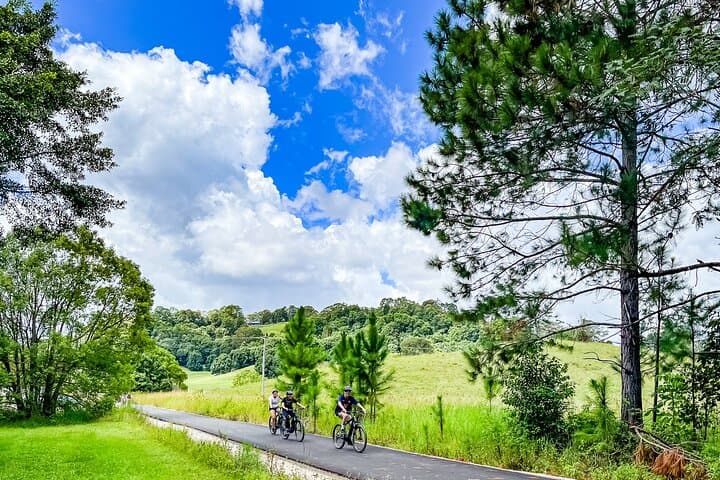 E-Bike the Northern Rivers Rail Trail: Self-Guided Byron Hinterland Ride