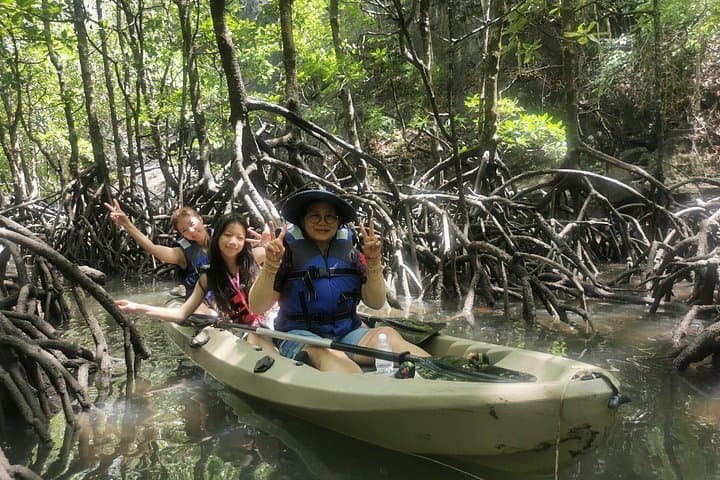Kilim Geopark Mangrove Kayaking: Paddle the Karst Coast of Langkawi photo 2