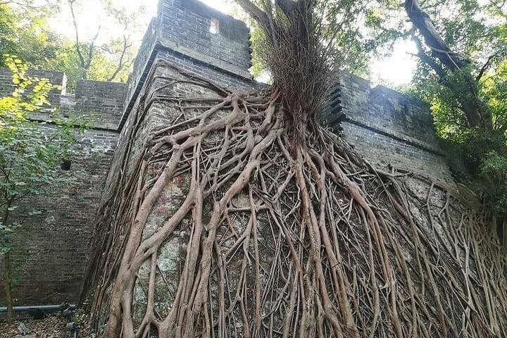 Private Guangzhou City Tour with Dim Sum — Flexible 4-Hour Cultural Walk photo 2
