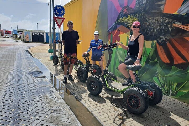 EZ Raider to Baby Beach & San Nicolas Murals — Aruba Southeast Electric 4x4 Tour photo 4
